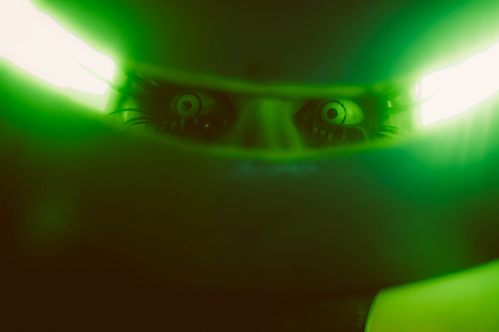 20141115 20141115 IMG 7636