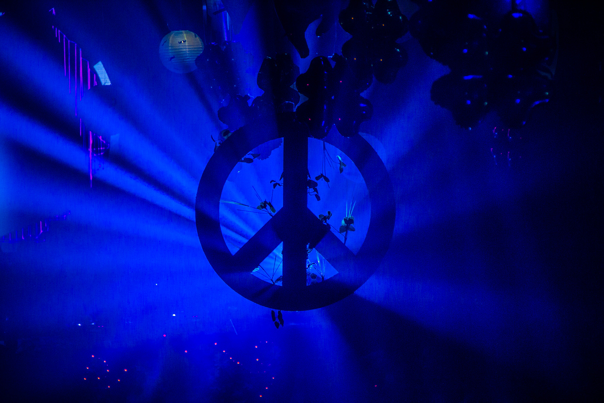 20141220 20141220 IMG 7558