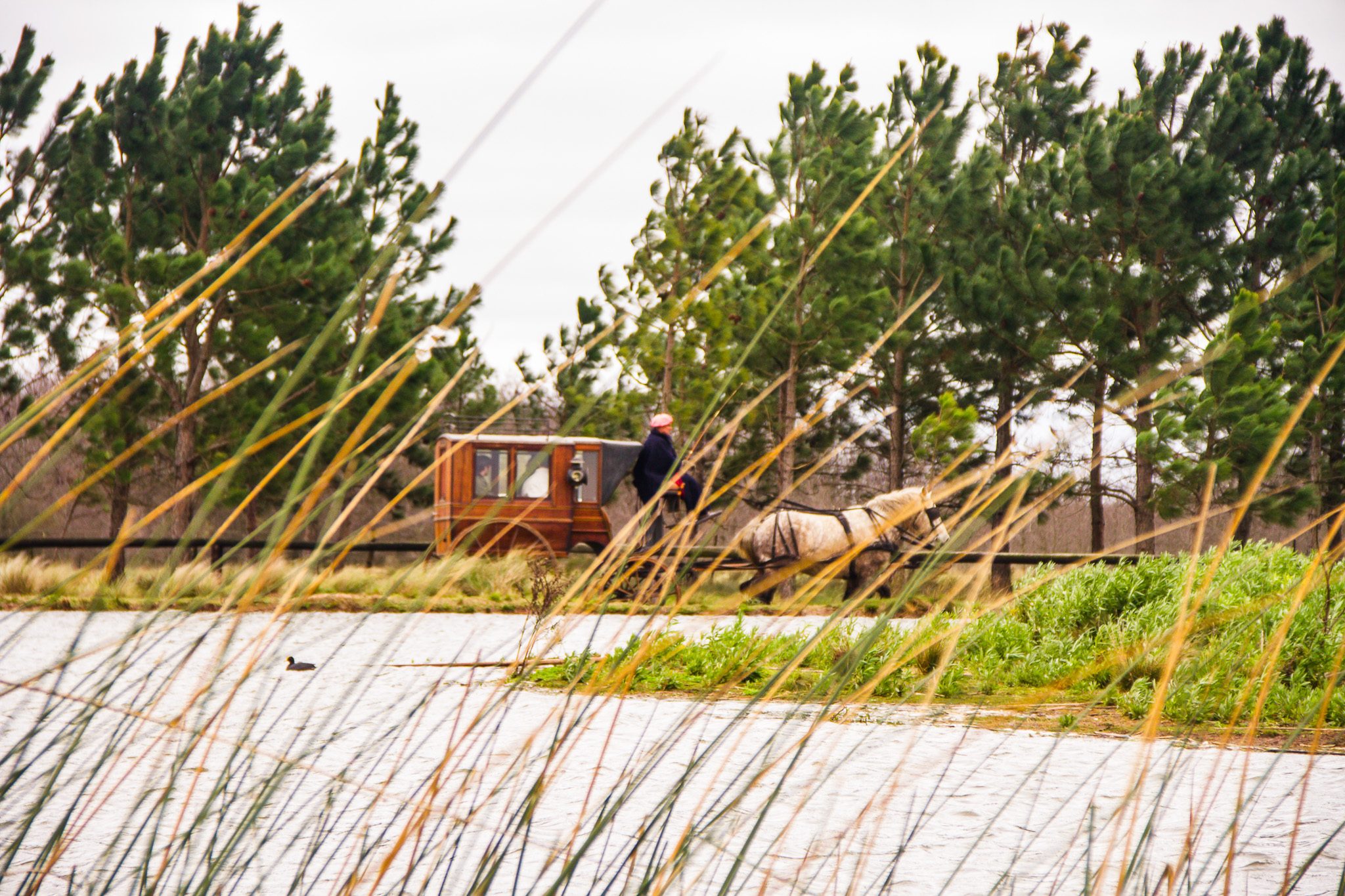 20140825 IMG 7828