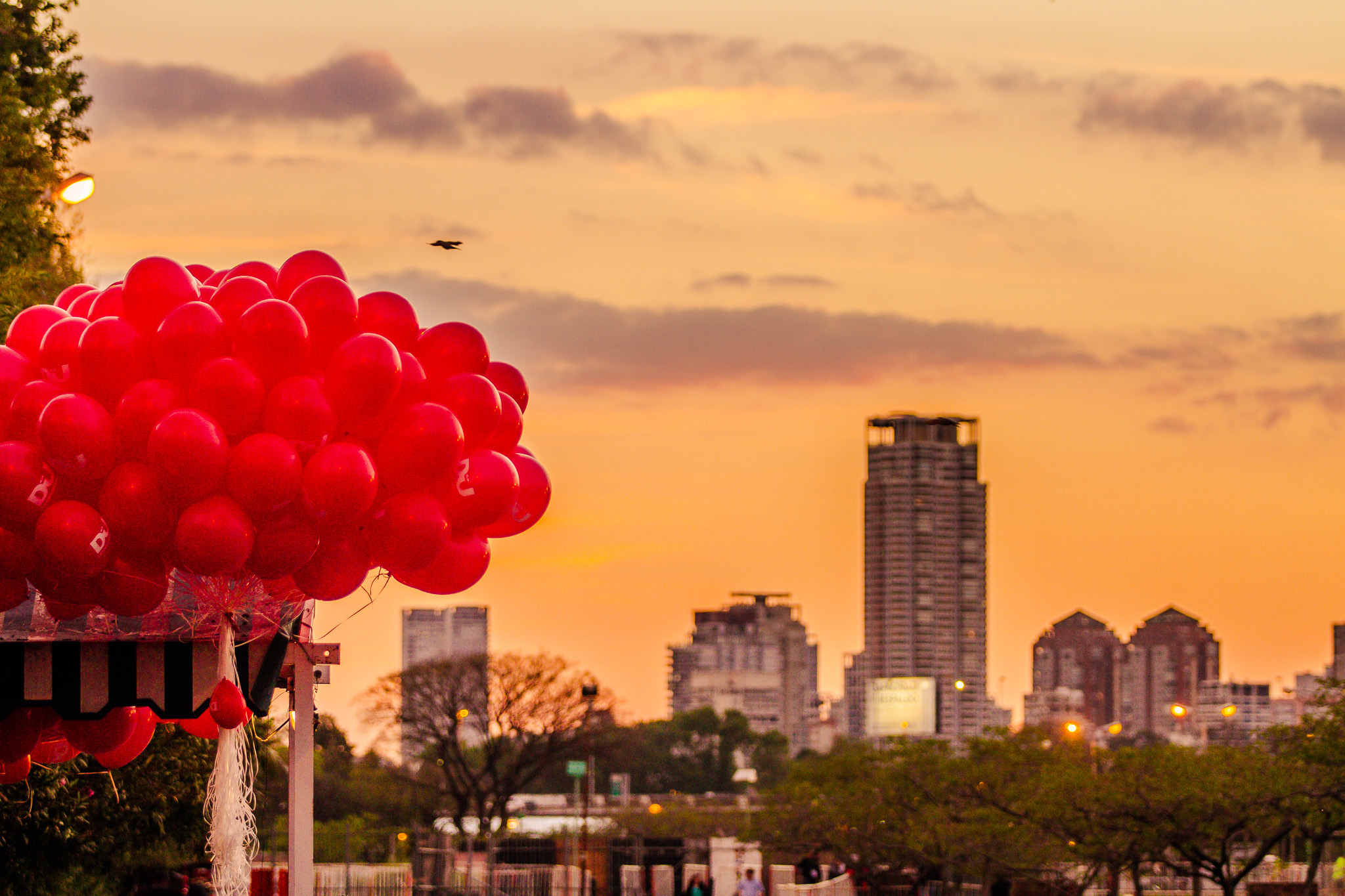 20141012 20141012 IMG 5915