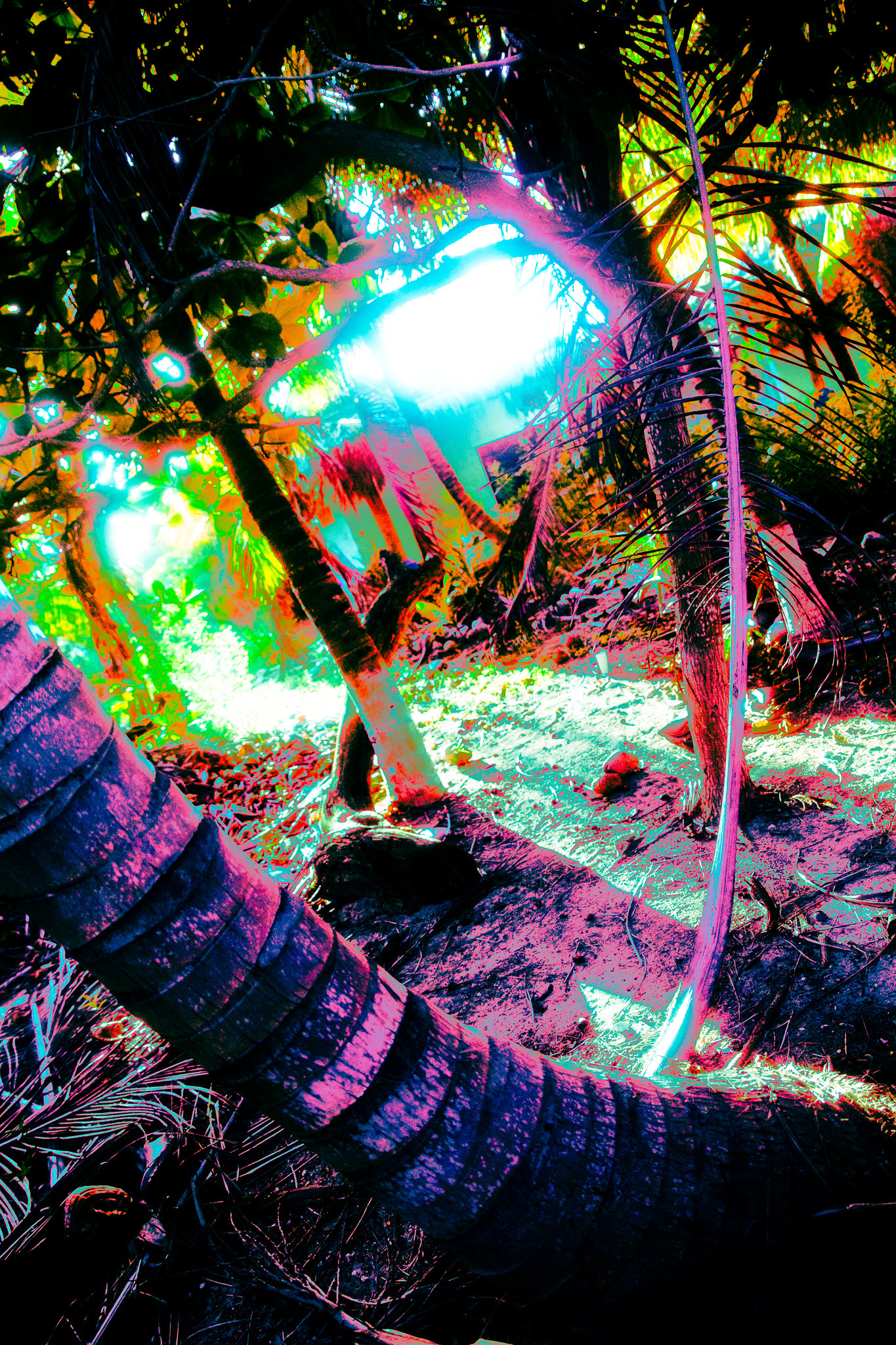 #Foto: #ManuPadilla >> http://www.fb.com/manupadillaoficial