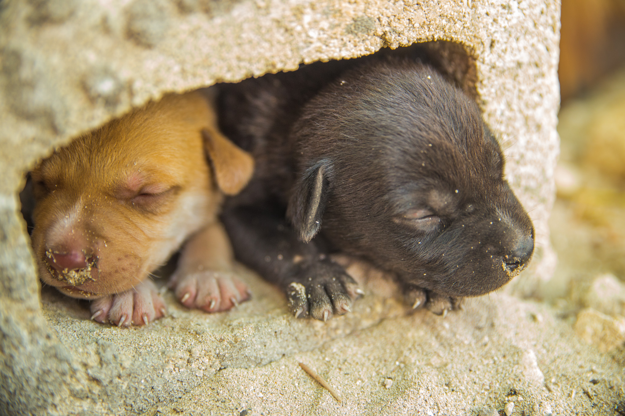 #Foto: #ManuPadilla >> http://www.fb.com/manupadillaoficial