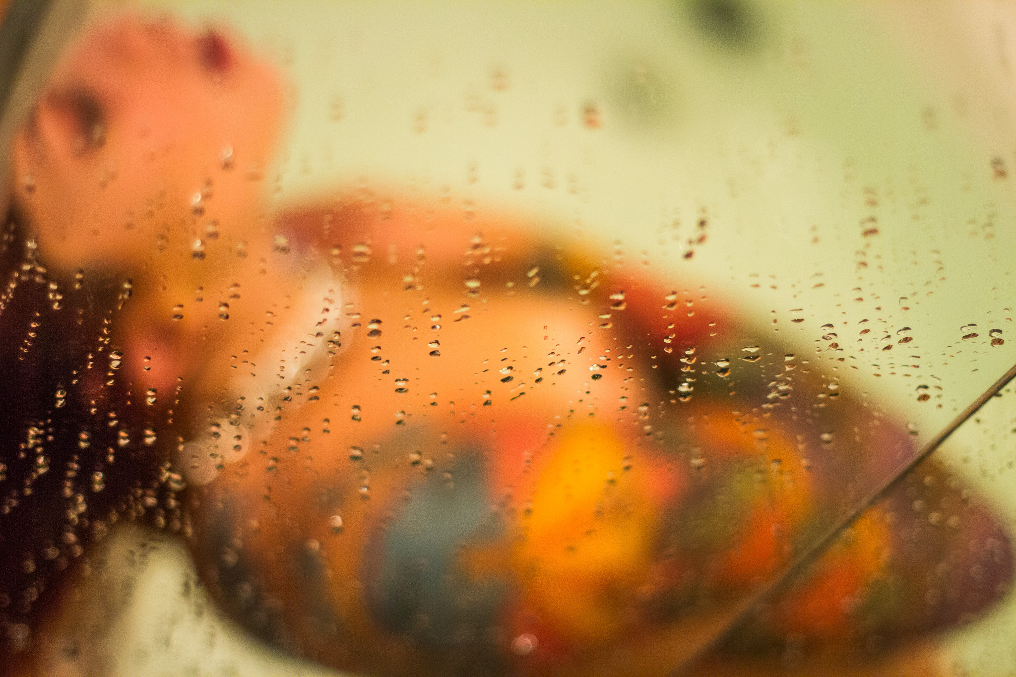 #Foto: #ManuPadilla >> http://www.fb.com/manupadillaoficial