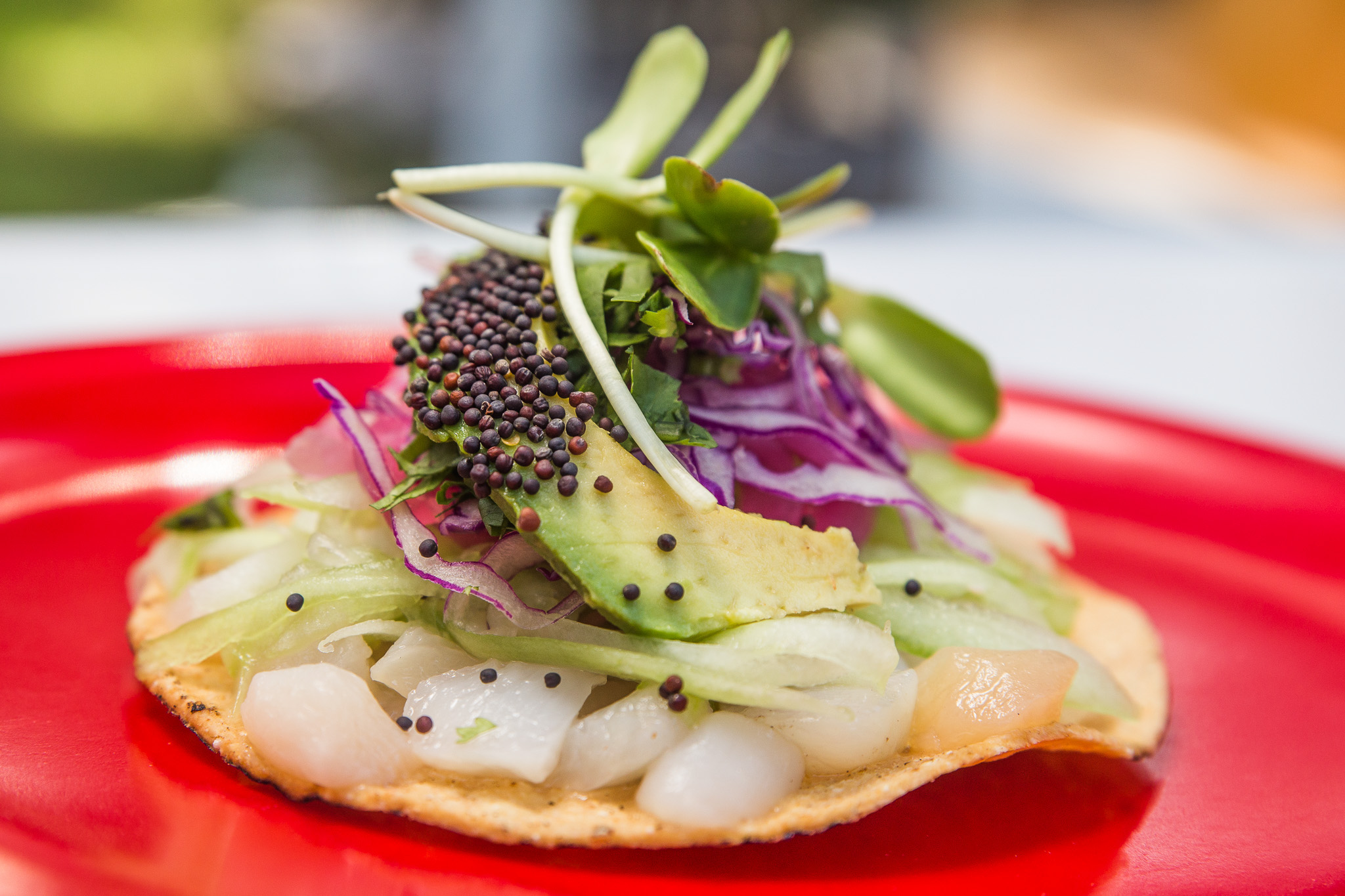 #Foto: #ManuPadilla >> http://www.fb.com/manupadillaoficial