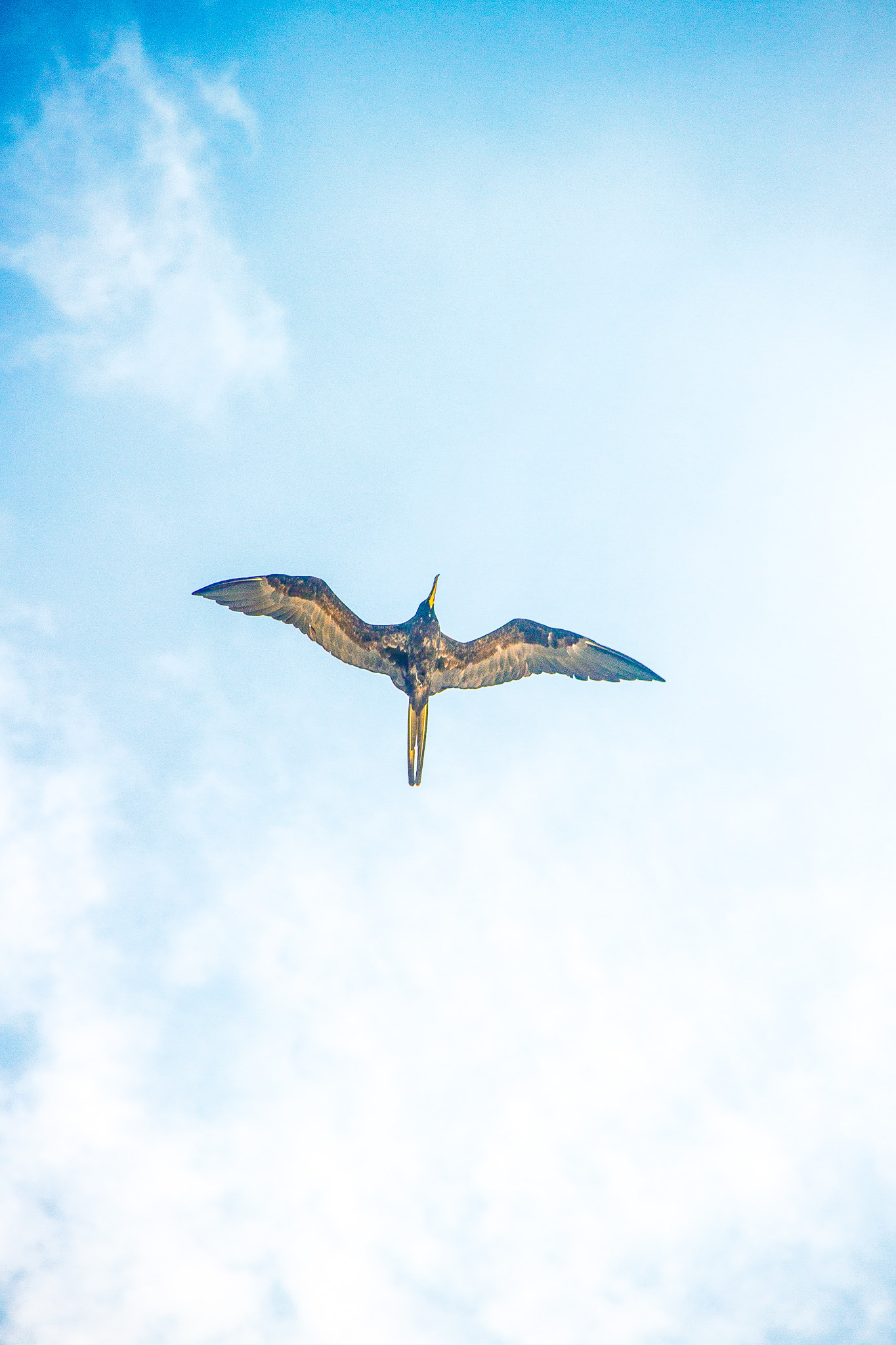 #Foto: #ManuPadilla >> http://www.fb.com/manupadillaoficial