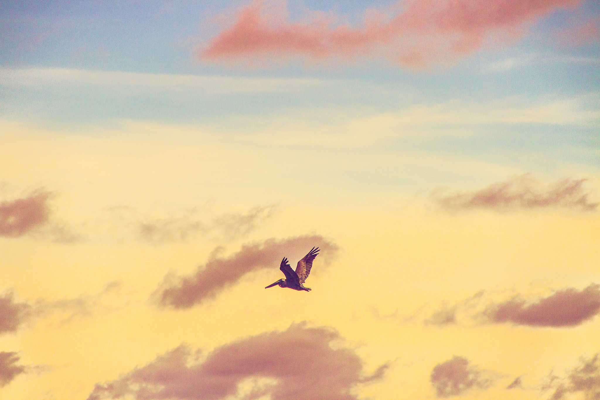 #Foto: #ManuPadilla >> http://www.fb.com/manupadillaoficial