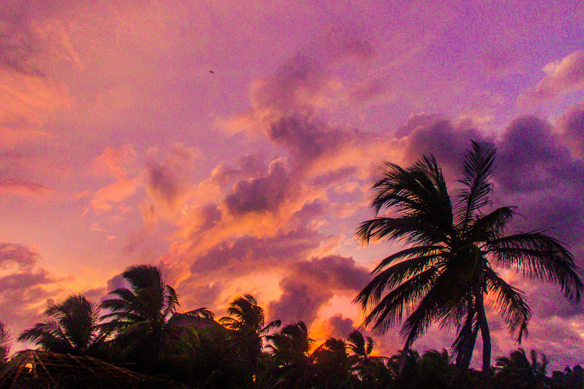 #Foto: #ManuPadilla >> http://www.fb.com/manupadillaoficial