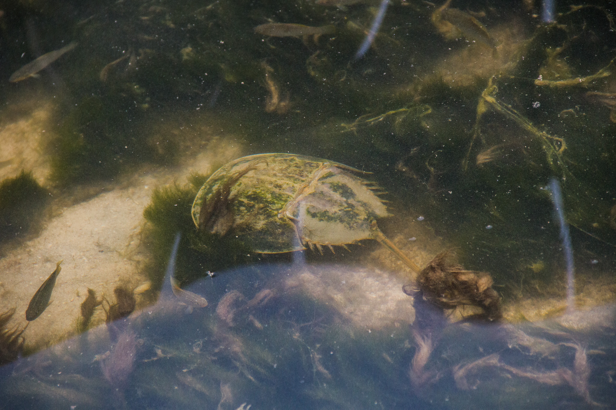 #Foto: #ManuPadilla >> http://www.fb.com/manupadillaoficial