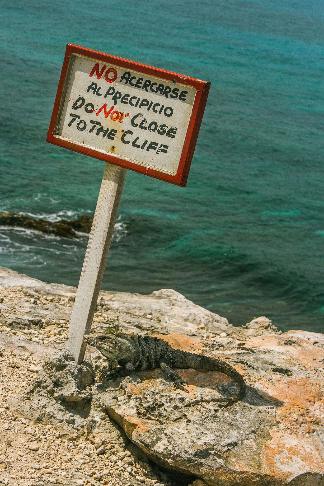 #Foto: #ManuPadilla >> http://www.fb.com/manupadillaoficial