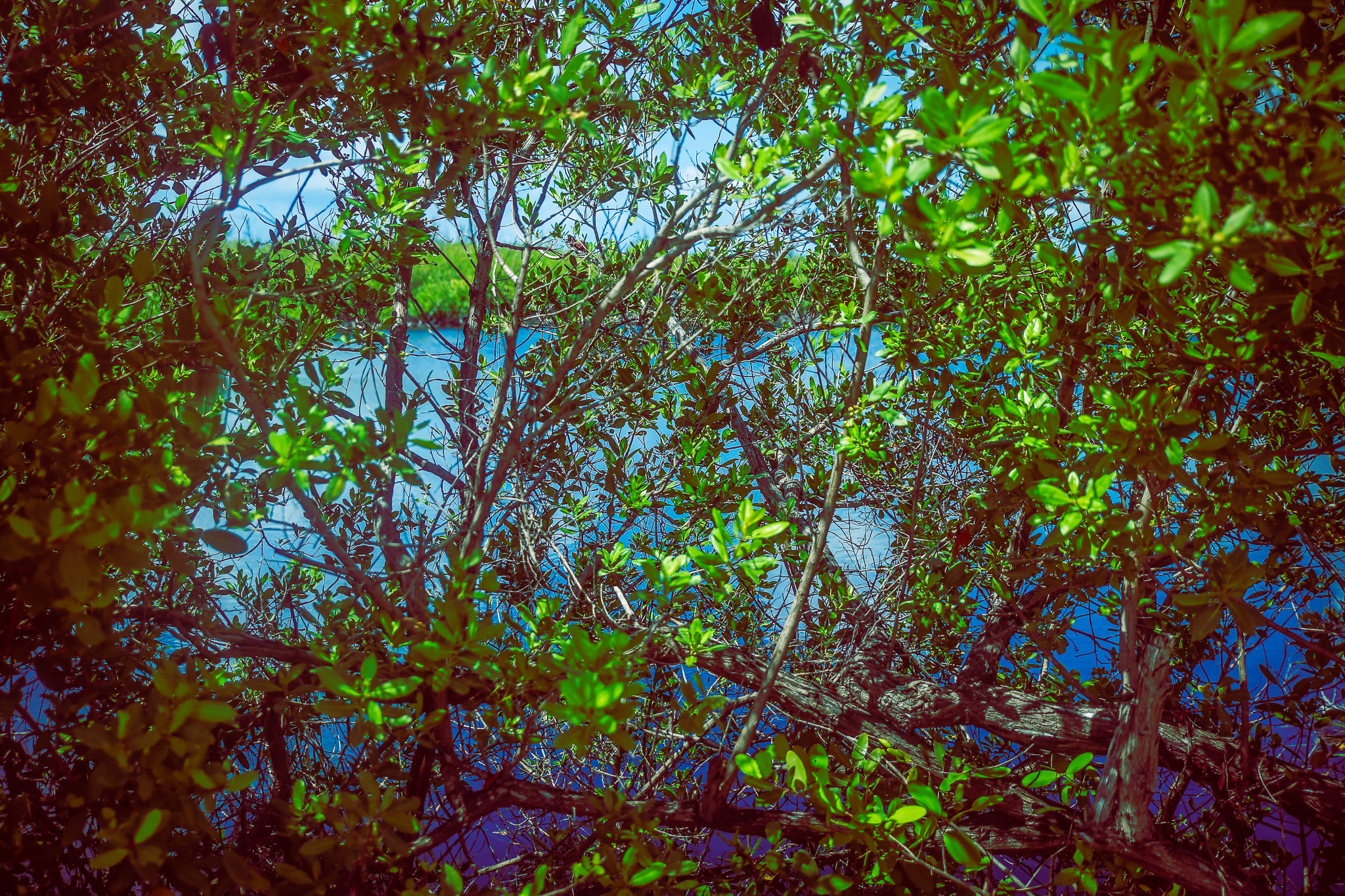 #Foto: #ManuPadilla >> http://www.fb.com/manupadillaoficial