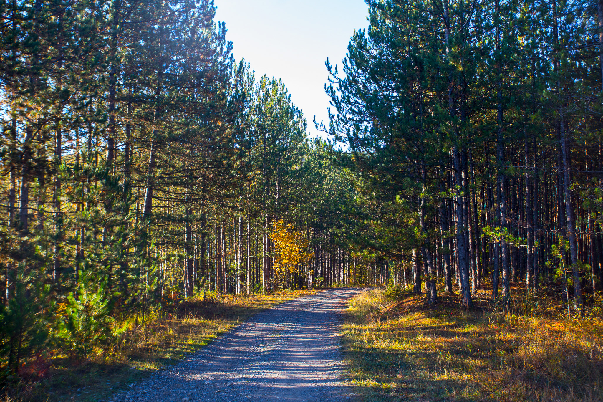 #Foto: #ManuPadilla >> http://www.fb.com/manupadillaoficial