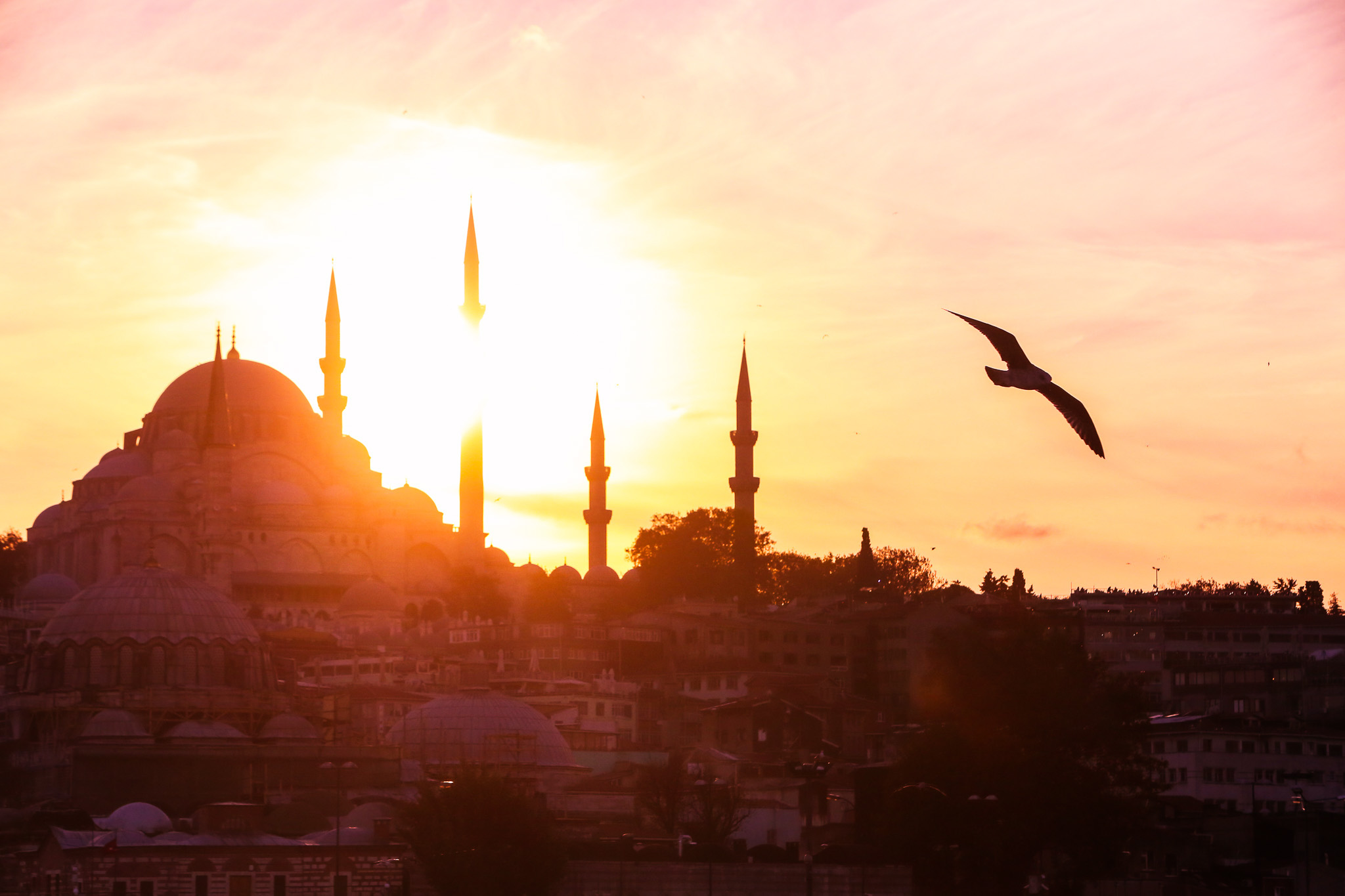 #Foto: #ManuPadilla >> http://www.fb.com/manupadillaoficial