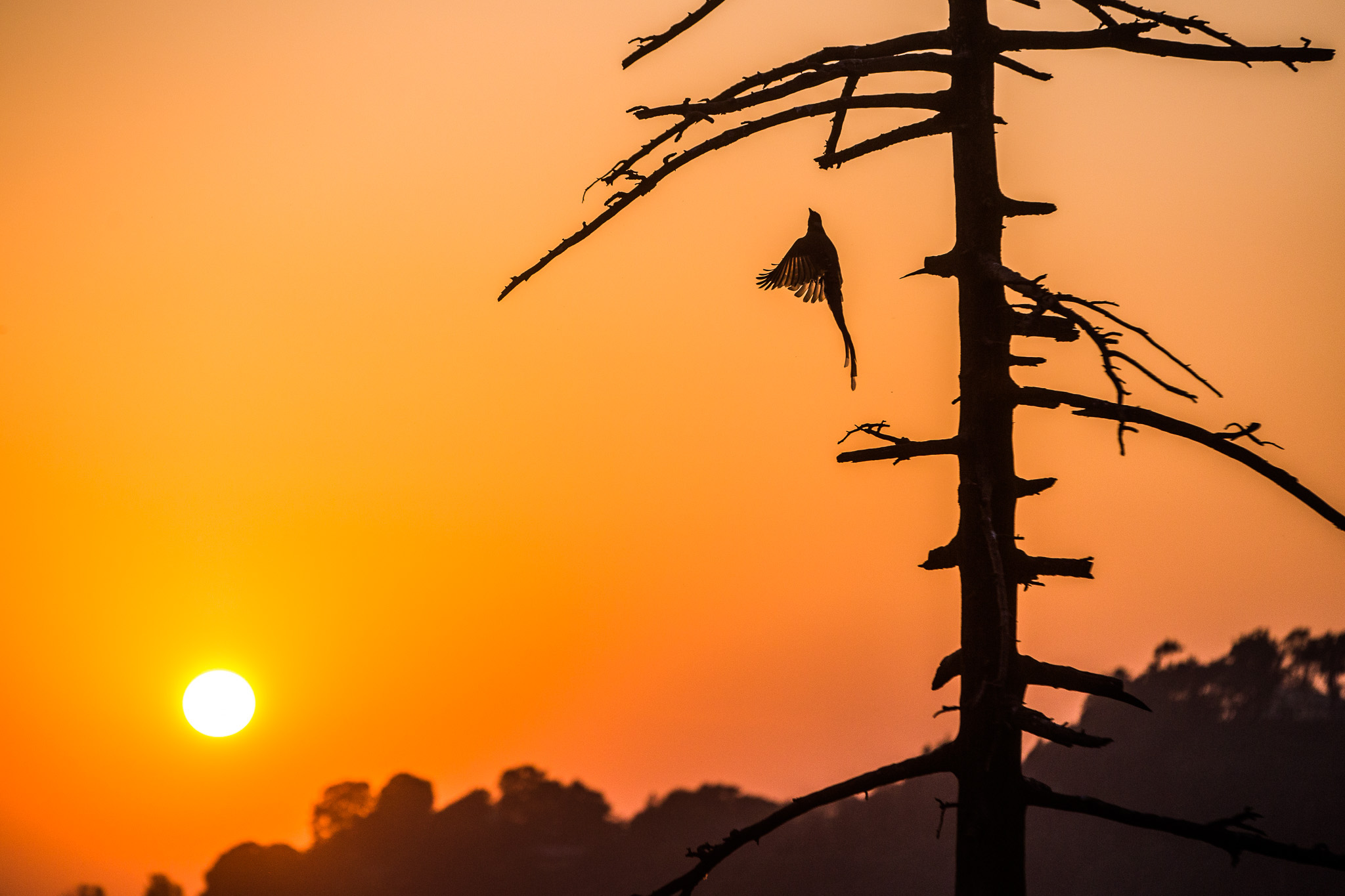 #Foto: #ManuPadilla >> http://www.fb.com/manupadillaoficial