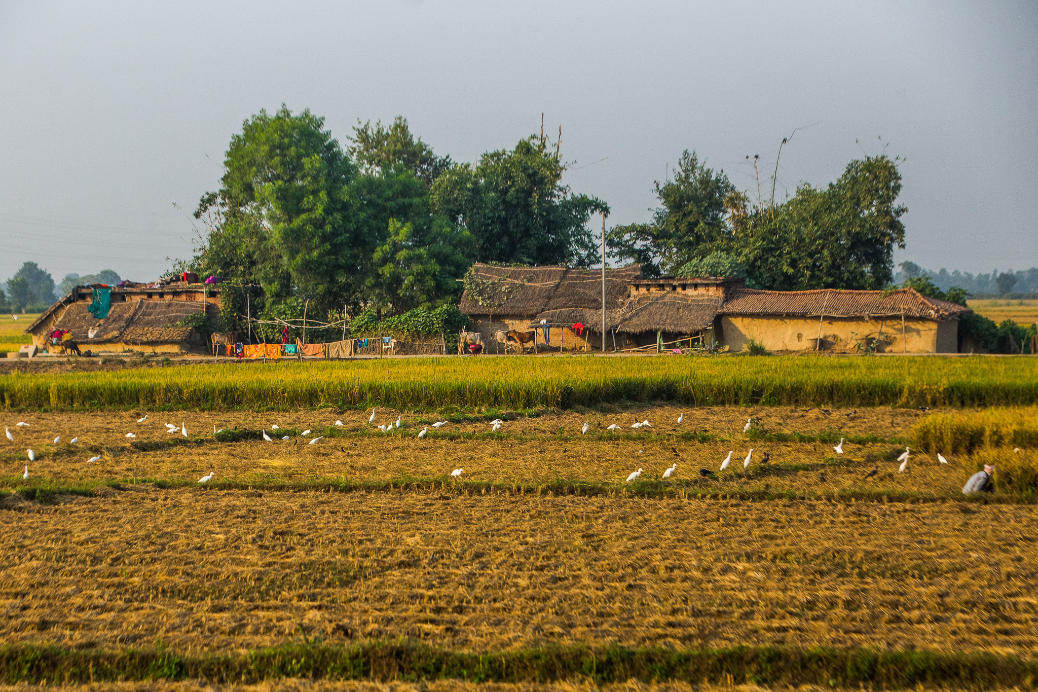 #Foto: #ManuPadilla >> http://www.fb.com/manupadillaoficial