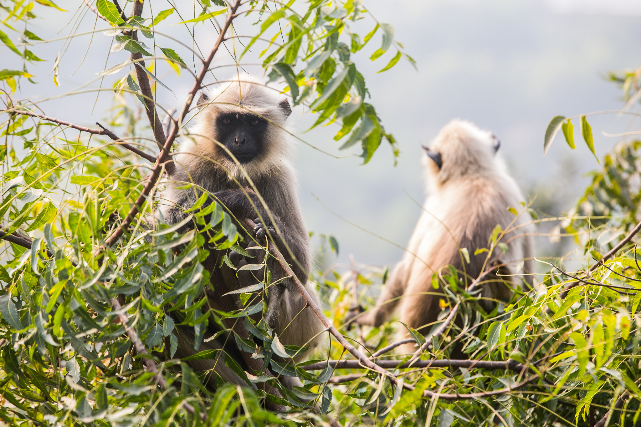 #Foto: #ManuPadilla >> http://www.fb.com/manupadillaoficial