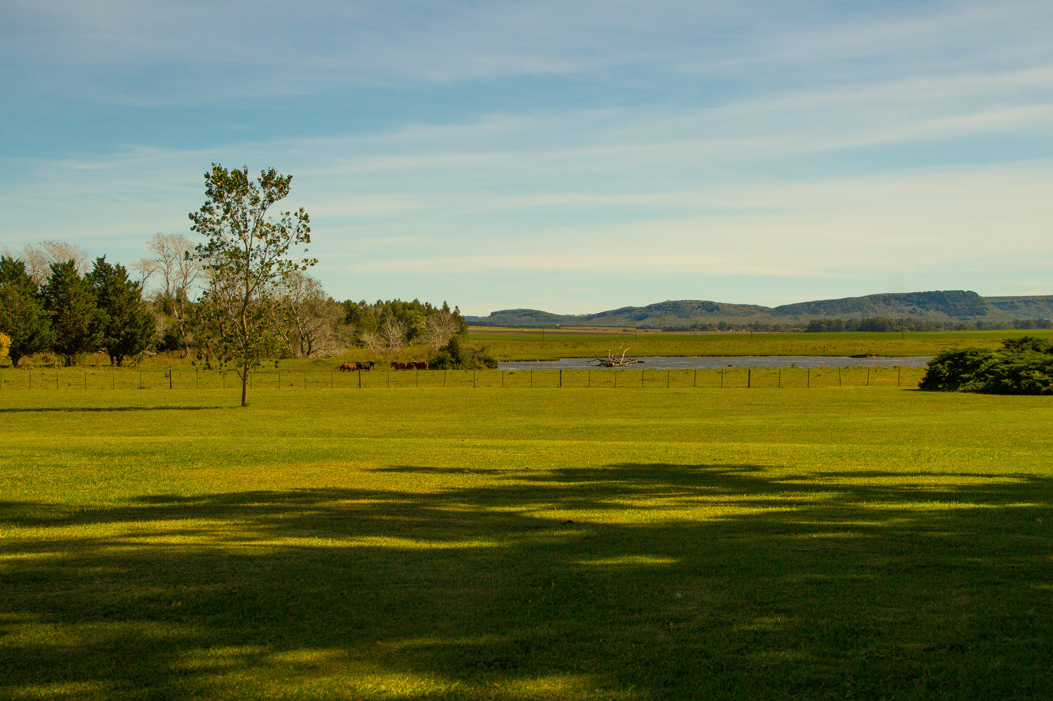 20140322 Casamiento 0001